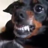 Arthur Carvalho Borella