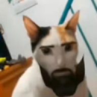 davyc70