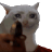 Vieirapj